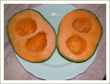 140710-melons-jumeaux