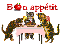 Bon appétit 3 chats