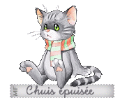 chat-epuise