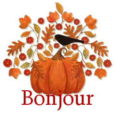 Bonjour courge