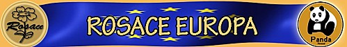 Rosace-Europa.jpg