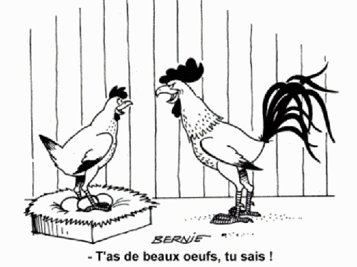 Humour-poules.gif